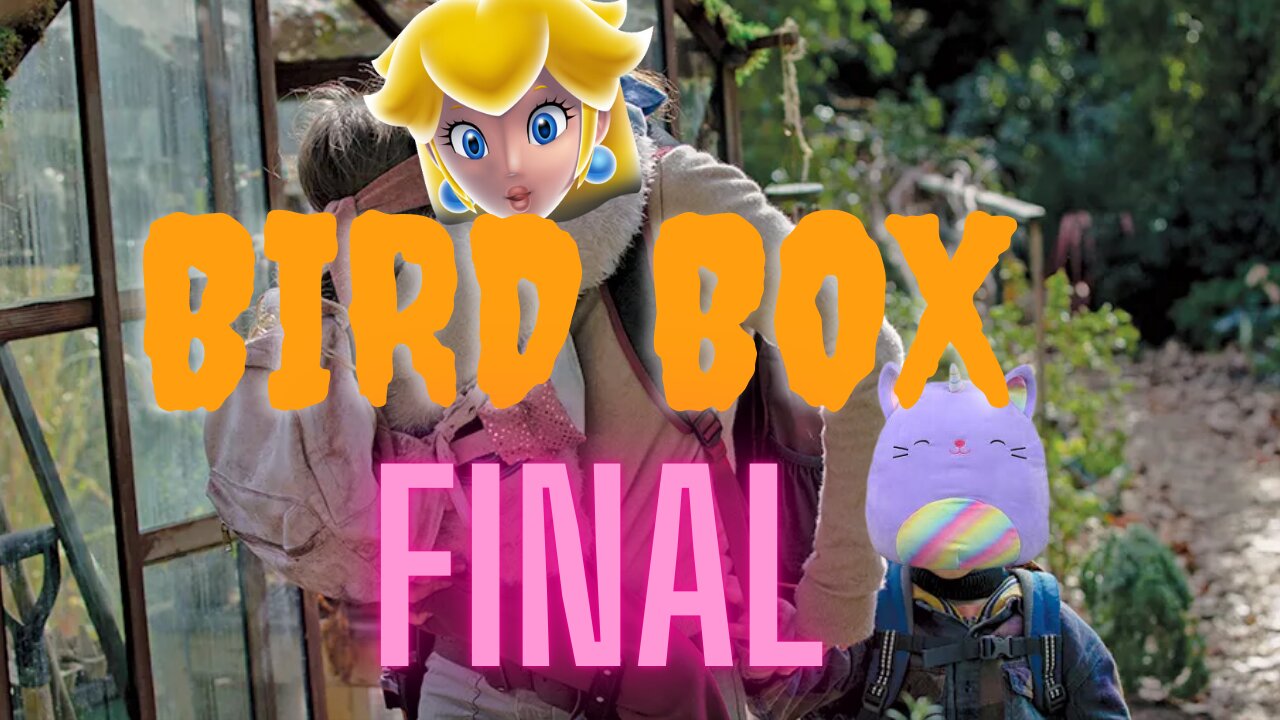 The Bird Box Final