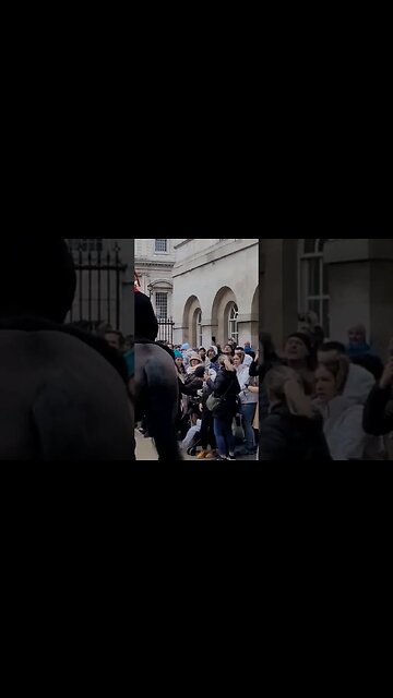 Tourist's faces of fear 😨 the horse to close #horseguardsparade