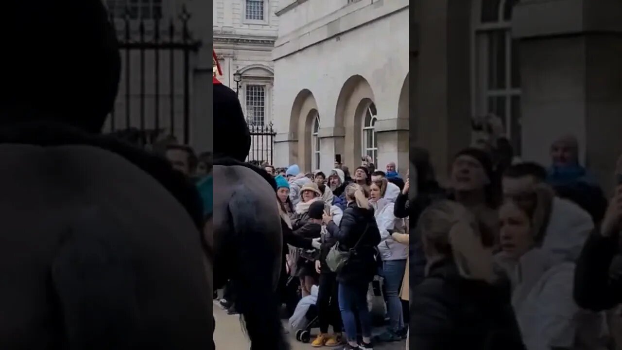 Tourist's faces of fear 😨 the horse to close #horseguardsparade