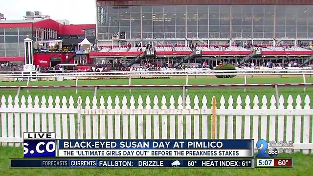 It's all about the ladies for Black-Eyed Susan Day at the Pimlico