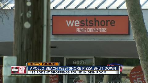 Dirty Dining: Westshore Pizza shut down after the state finds 125 rodent droppings in the kitchen