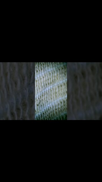 1000x Magnification Elastic Material 🔬