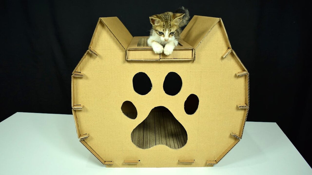 Easy cat house with cardboard