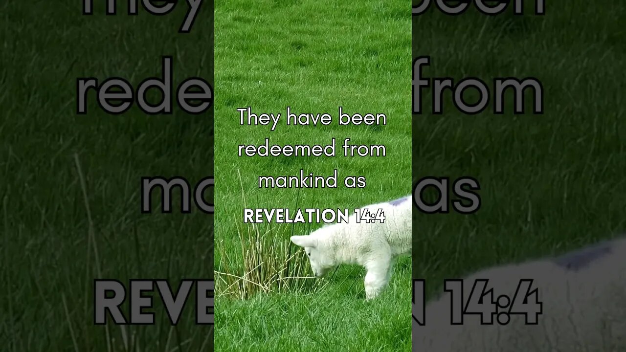 Revelation14:4 #motivation #viral #quotes #bibleverse