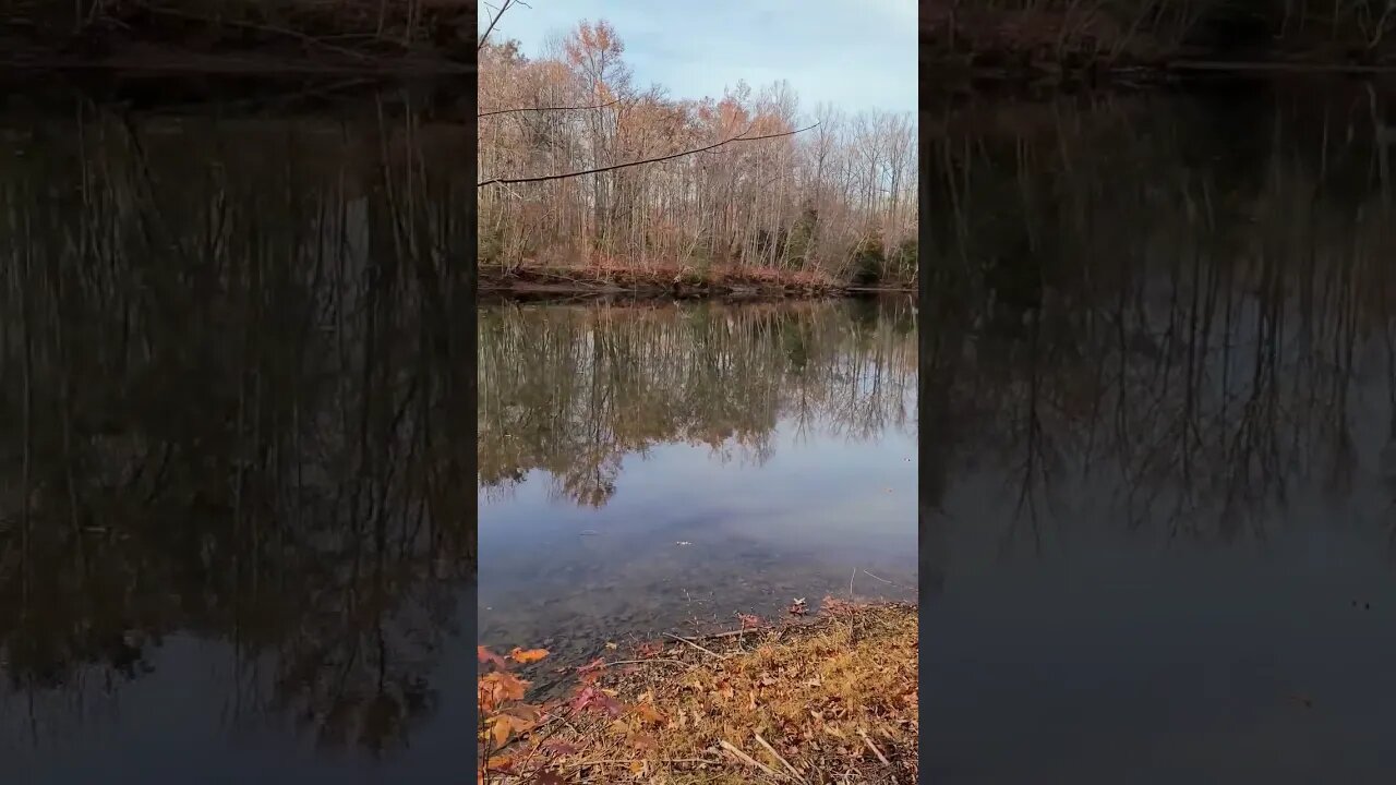 Does a witch haunt this hidden Virginia pond? #virginia #staffordva #hauntedstories #scarystories