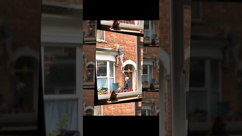 Another trust fall #silly #goofy #trashcan #nonsense #zoobox #shorts #ccp