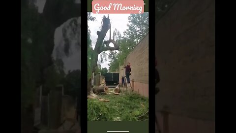 Taking on life 1 branch at a time