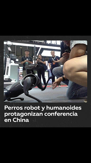 Perros robóticos presentes en la Conferencia Mundial de Robots en China
