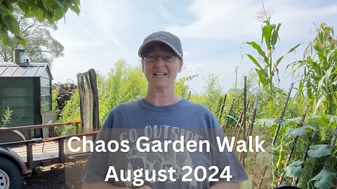 Chaos Garden Walk August 2024