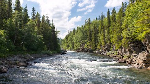 Top 15 Beautiful Nature stock footage