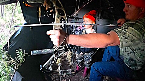 BOW HUNTING from GROUND BLIND (UP CLOSE AND PERSONAL)