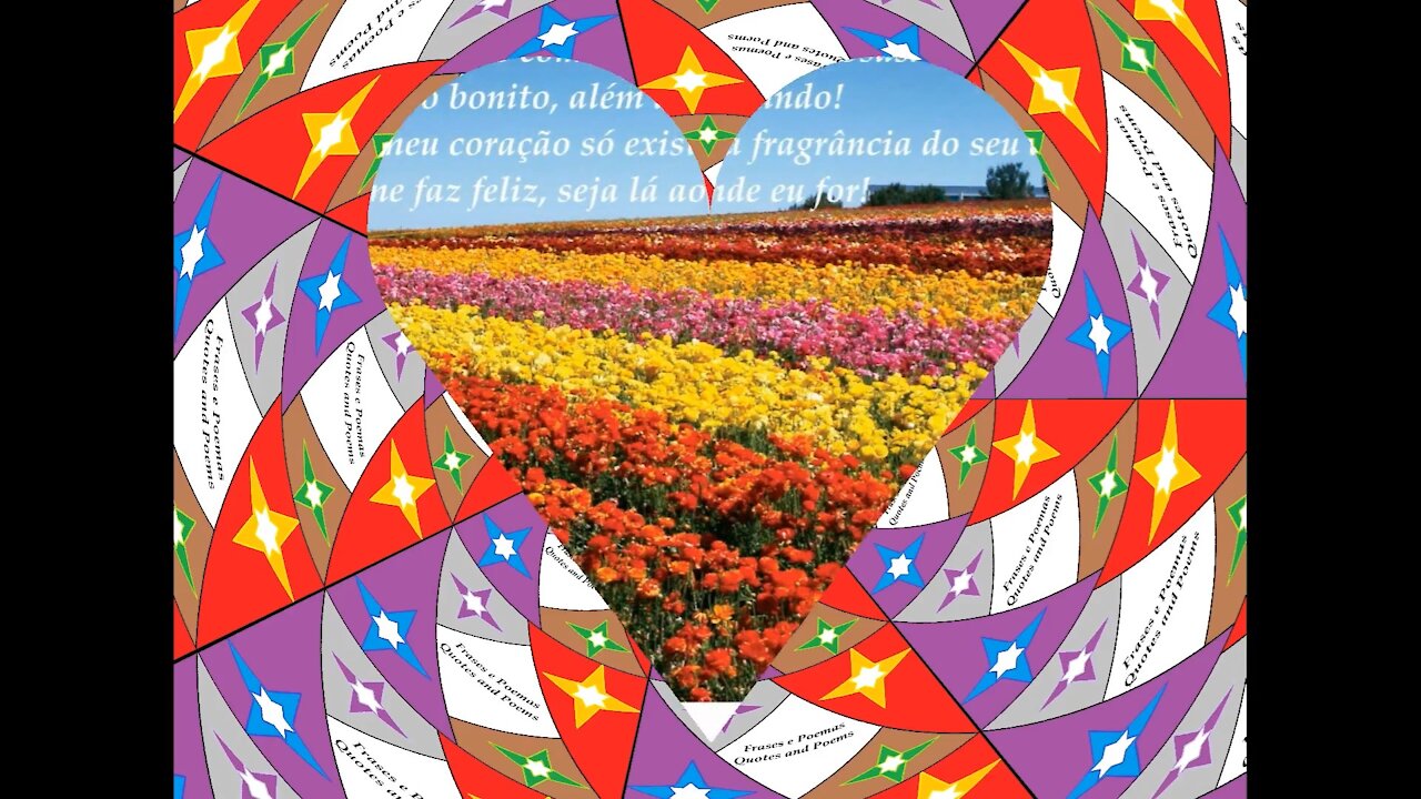 Meu amor por você é como um campo de rosas: É imenso, bonito! [Frases e Poemas]