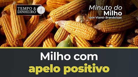 Milho com apelo positivo em Chicago