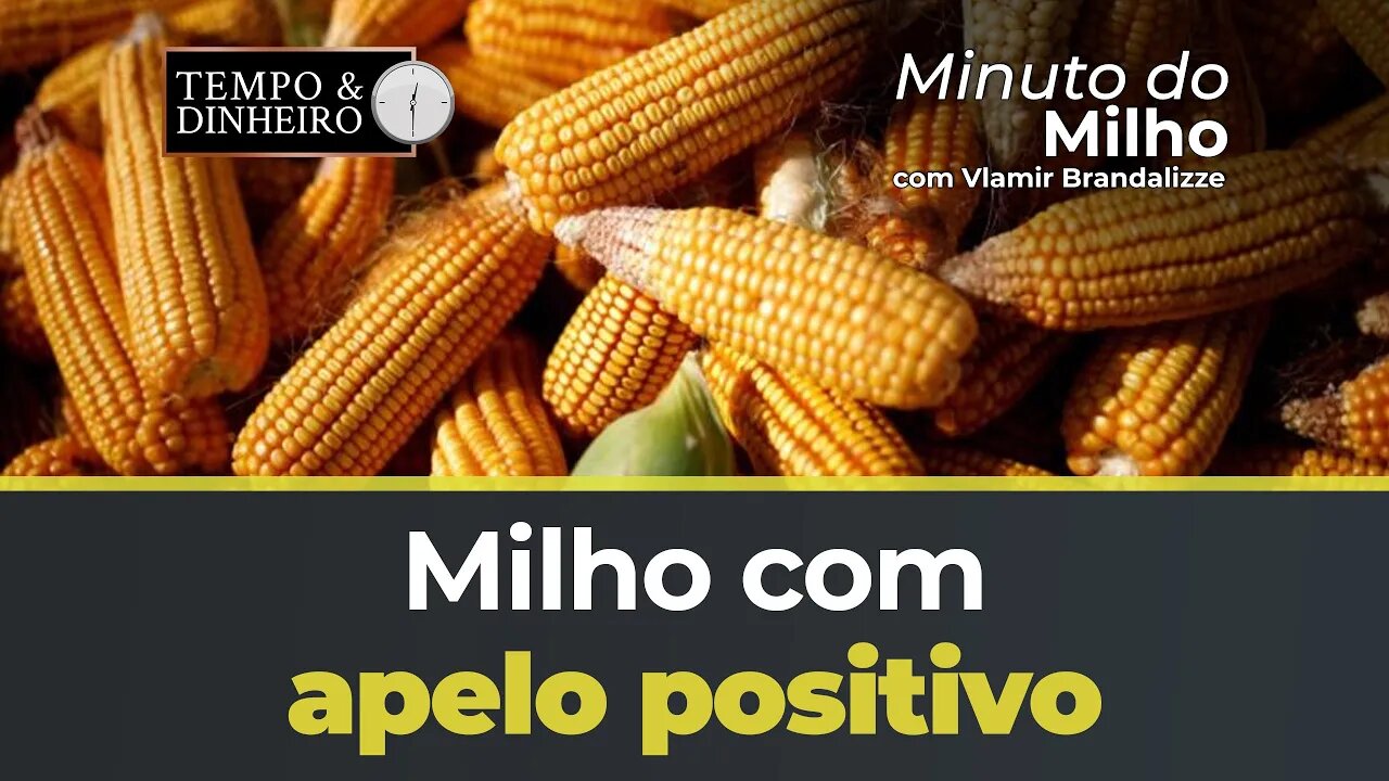 Milho com apelo positivo em Chicago
