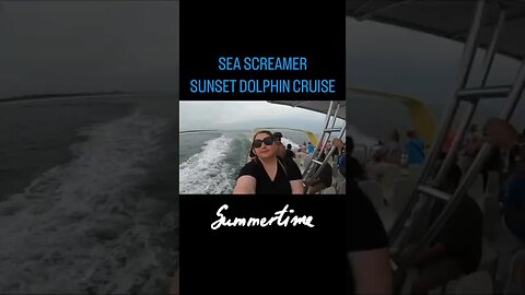 Sea Screamer Panama City Beach, Florida #shorts