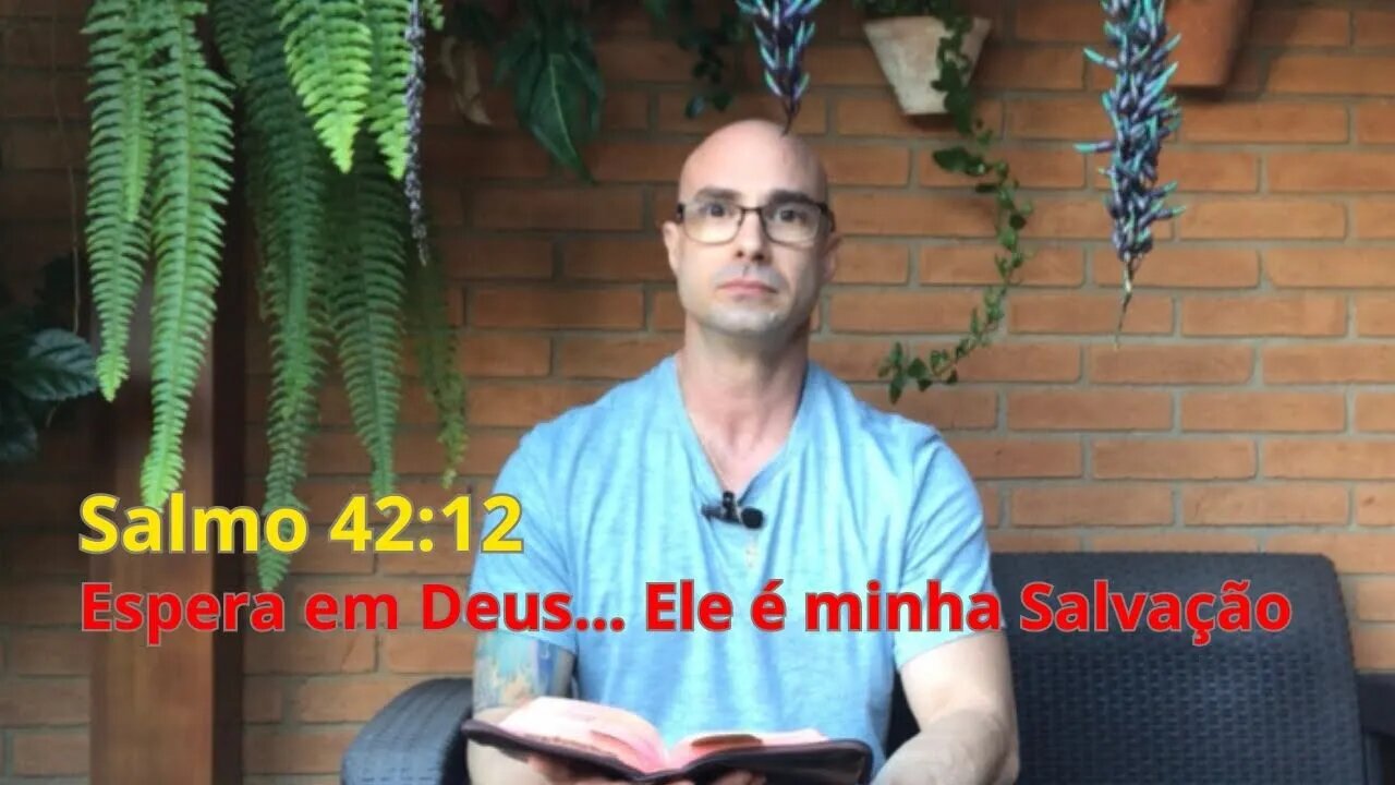 Reflexão bíblica sobre Salmos 42:12