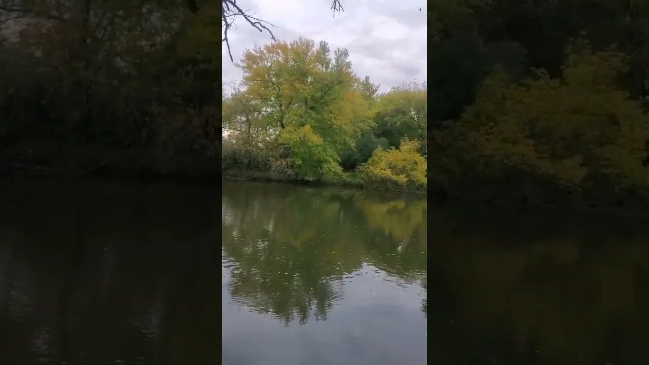 On the river-beuatiful autumn forest.