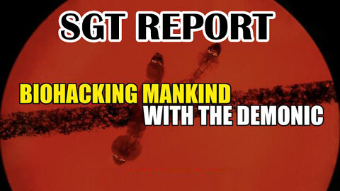 SGT Report 04/17/2022 - Patriot Movement