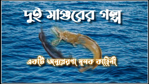 আপনি কি জীবনে হতাশাগ্রস্ত? ভগবানে আস্থা হারিয়েছেন? তবে এই ভিডিও আপনার জন্য!