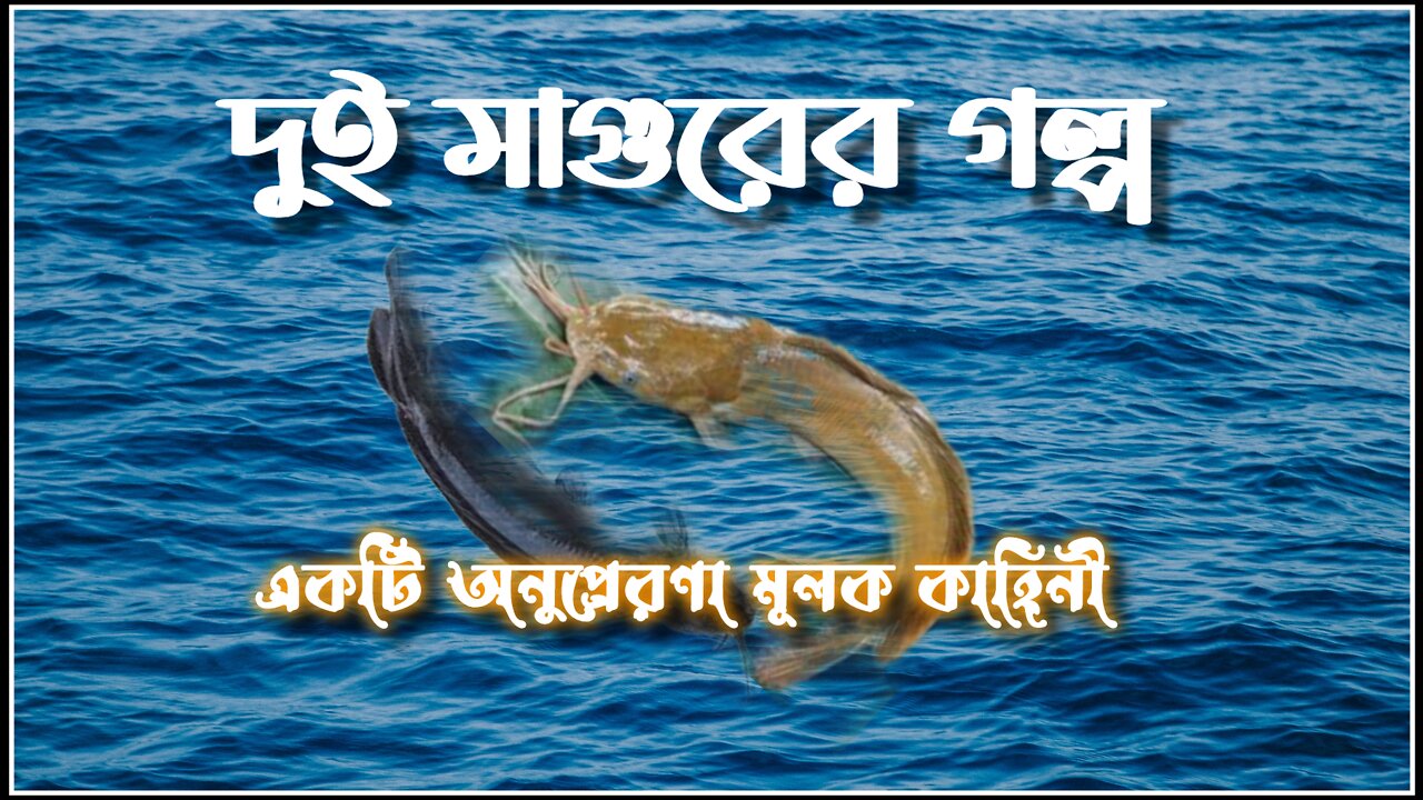 আপনি কি জীবনে হতাশাগ্রস্ত? ভগবানে আস্থা হারিয়েছেন? তবে এই ভিডিও আপনার জন্য!