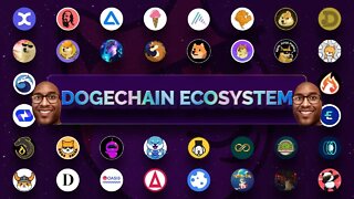 DogeChain Ecosystem Update