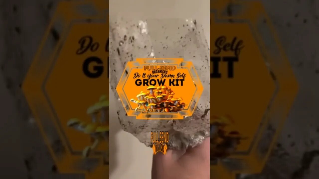 All in one mushroom kits that Never Growing! Do It Your Damn self Multipurpose super Grow kit!!