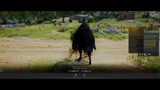 Black Desert Land Shananigans