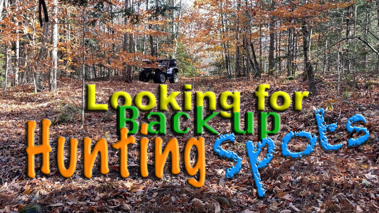 Looking for backup Hunting spots