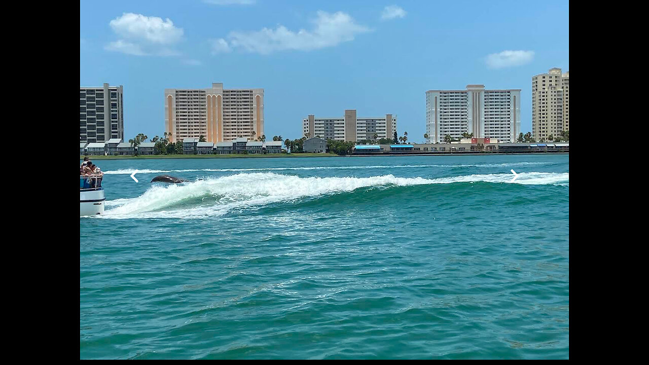 Clear water FL-2023