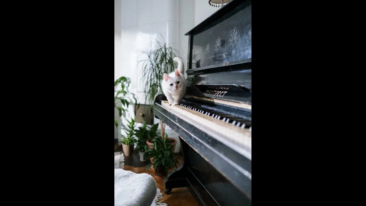 Classical Piano - Chopin - Fantasie-Impromptu C sharp minor Op-66