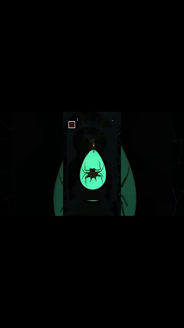 Gift for Tarantula Keeper UNDER $30