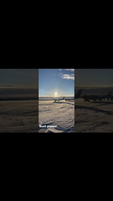 ALASKA BUSH PLANES!