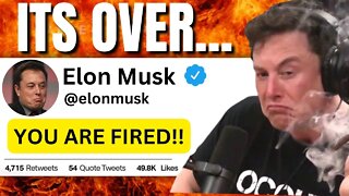 Elon Musk Sends Establishment Elites Into TOTAL PANIC!