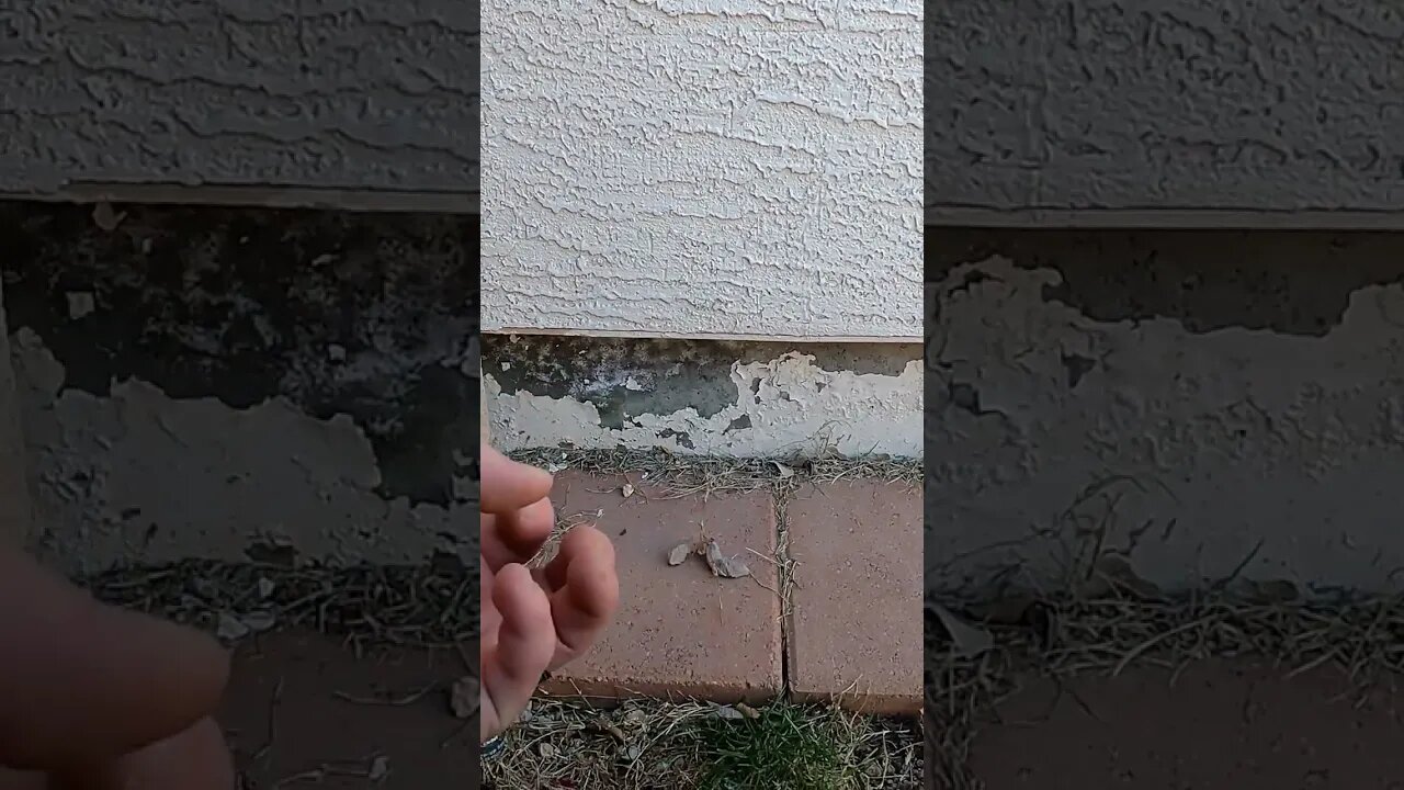 Paint peeling on a foundation is a sign of moisture