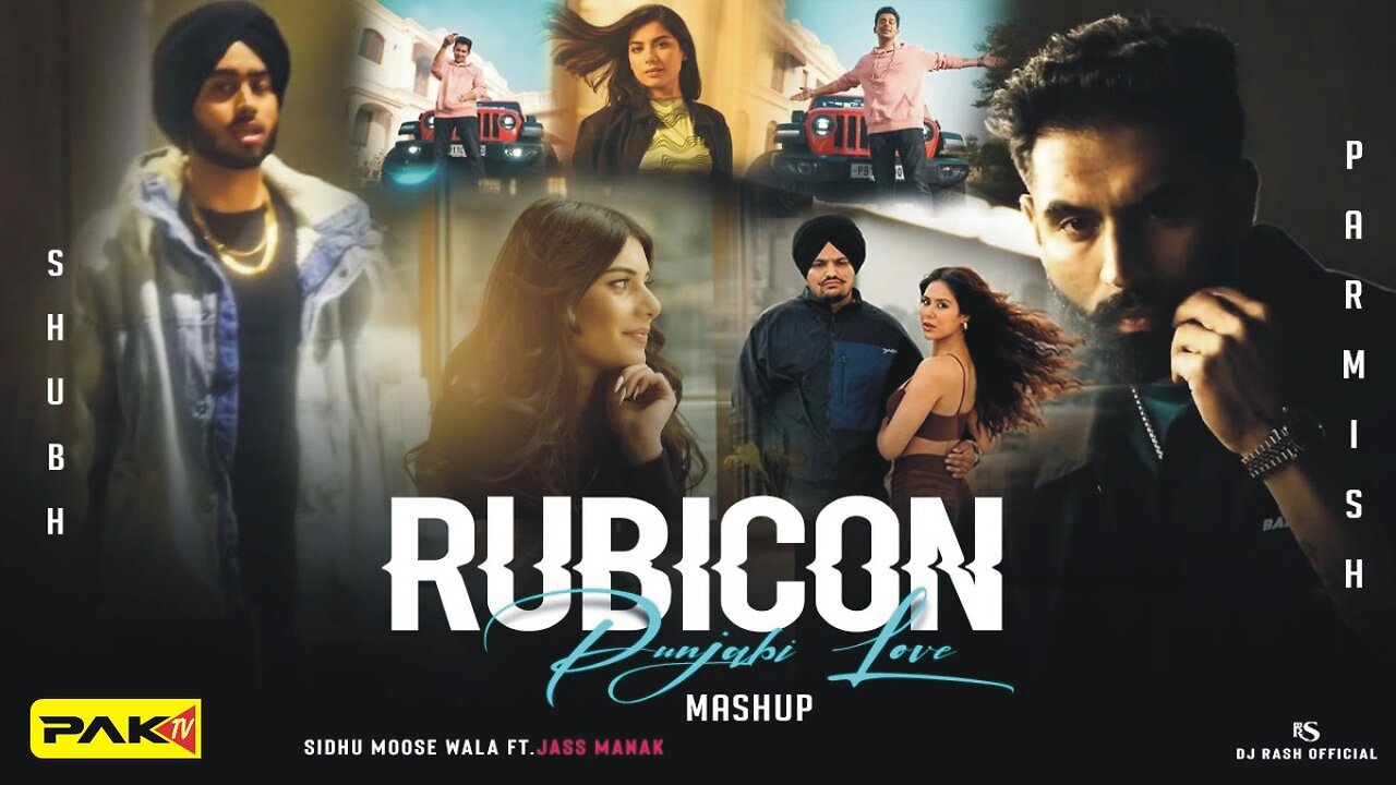 Rubicon Punjabi - Love Mashup Dj Rash King