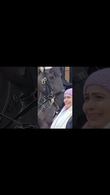 Nervous look on her face #horseguardsparade