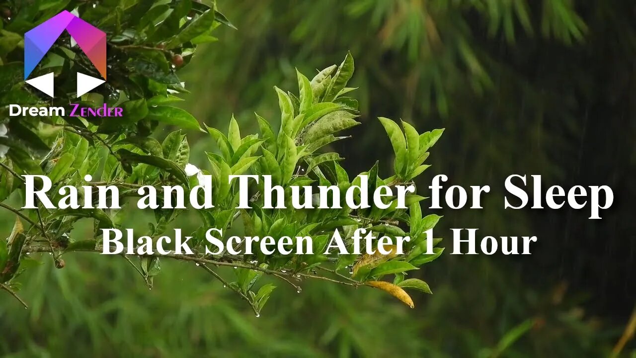 5 Hours of Rain and Thunder for Sleep | Black Screen After 1 Hour