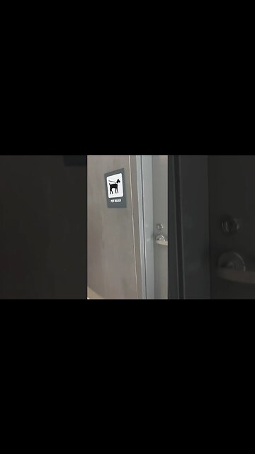 Pet bathroom - have you ever seen such a thing?August 12, 2023