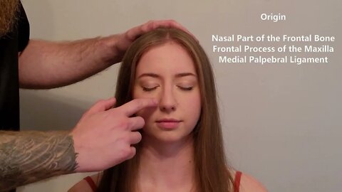 Muscle Palpation - Orbicularis Oculi & Corrugator Supercilii & Procerus