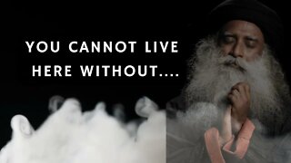 The Most Inspiring Quote from Sadhguru || Quotes Hub