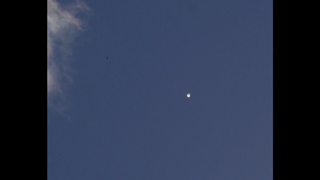 Quick Angel Clip. November 2020 (North NJ)