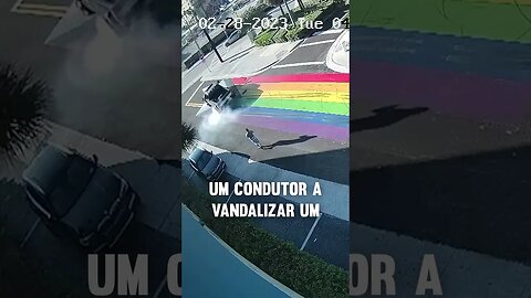 Cavalos homobóficos!🏳️‍🌈🏳️‍⚧️