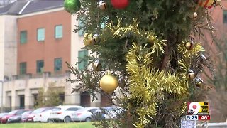 Teeny-tiny Christmas tree brings smiles to Alexandria Pike