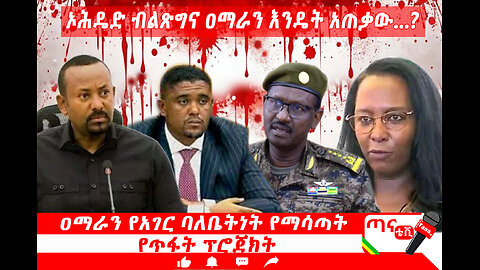 ጣና ትንታኔ፦ኦሕዴድ ብልጽግና ዐማራን እንዴት አጠቃው…?