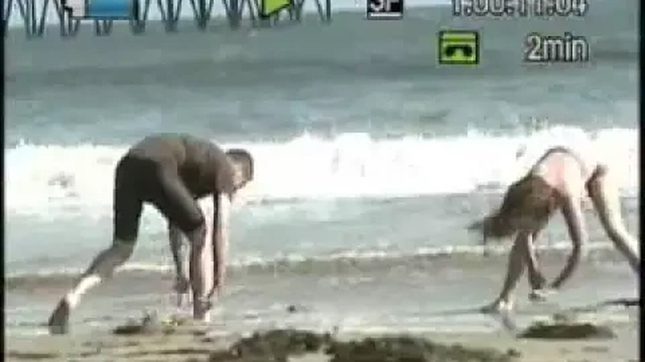 2006 Mick & Bean on the Beach