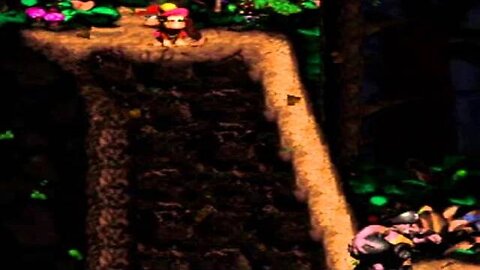 Donkey Kong Country 2 Walkthrough Part 14: The Nervous Episode