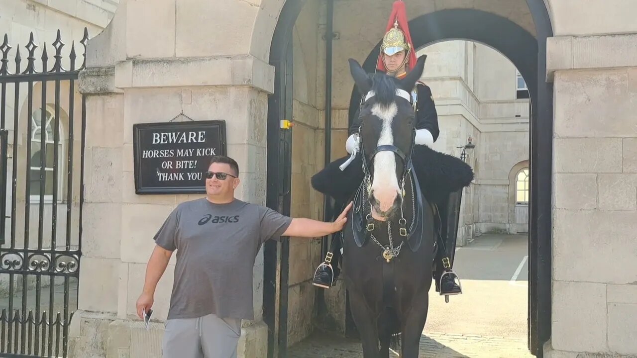 Pulling the bit on the horse's mouth guard not allowed to shout at tourist #horseguardsparade