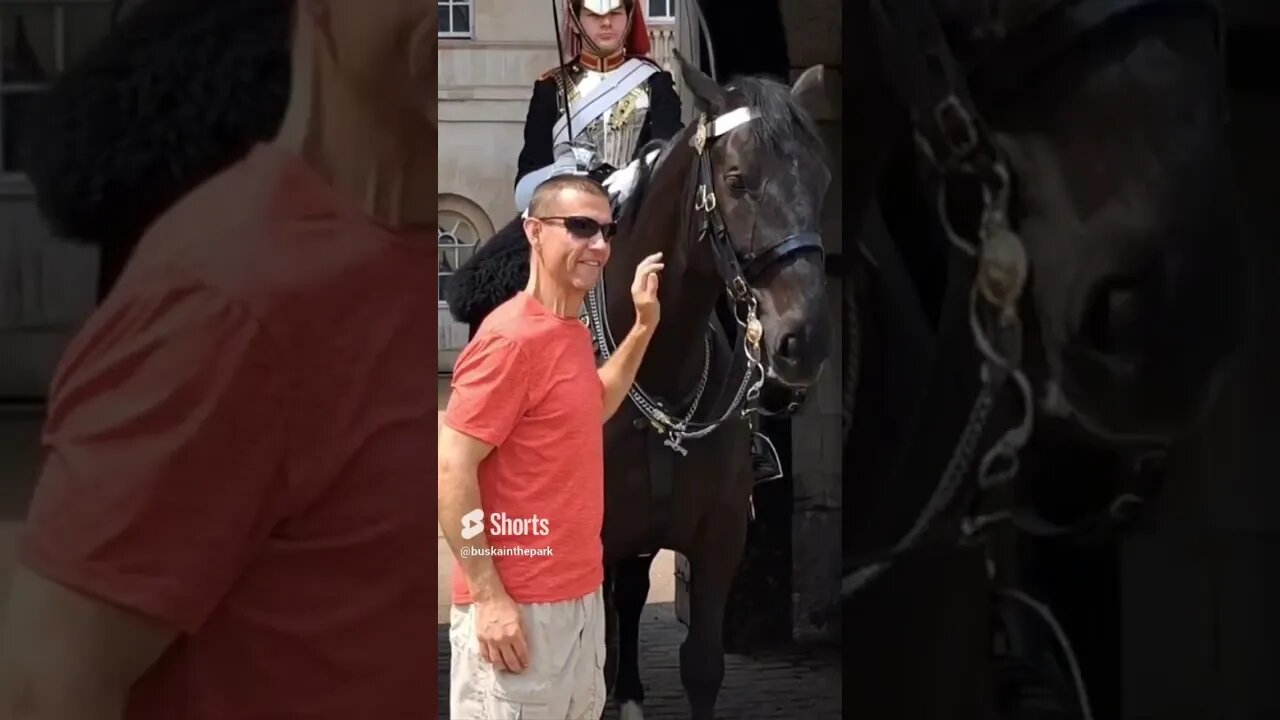 Horse bites featuring arnie #horseguardsparade