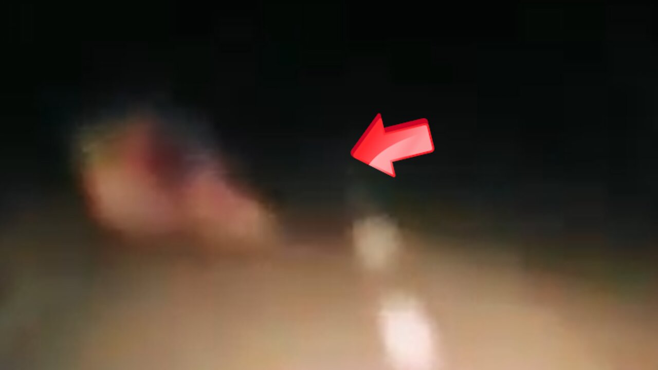 Sighting of a flesh-like creature on the road in the middle of the night [conspiracy]