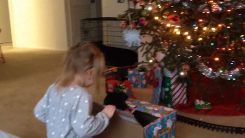 Cute Kid Falls In Love With Her New Dogs